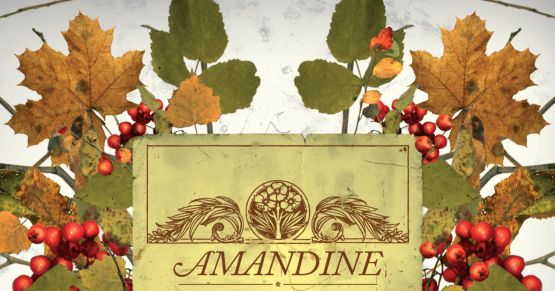 Amandine – Waiting For The Light To Find Us [EP]
