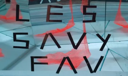 Les Savy Fav – Root For Ruin