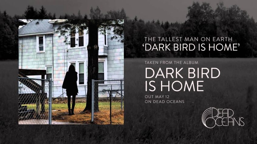 STREAMING: Tallest Man On Earth – Dark Bird Is Home (full album)