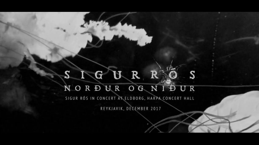 I Sigur Ros avranno un loro festival: arriva il “Norà°ur Og Nià°ur”