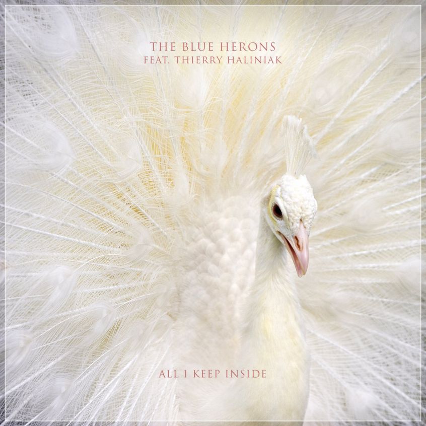 TRACK: The Blue Herons – All I Keep Inside