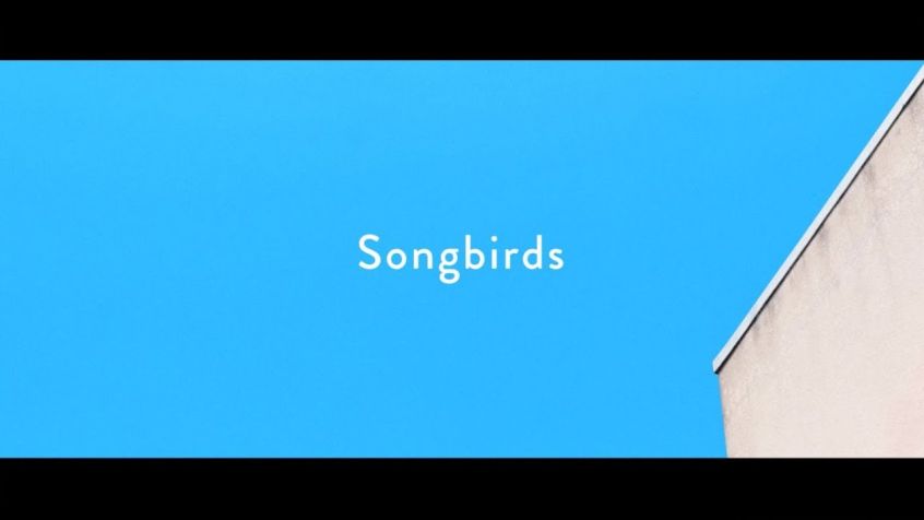 TRACK: Homecomings – Songbirds