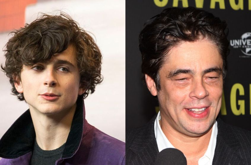 Timothèe Chalamet e Benicio del Toro saranno nel nuovo film di Wes Anderson