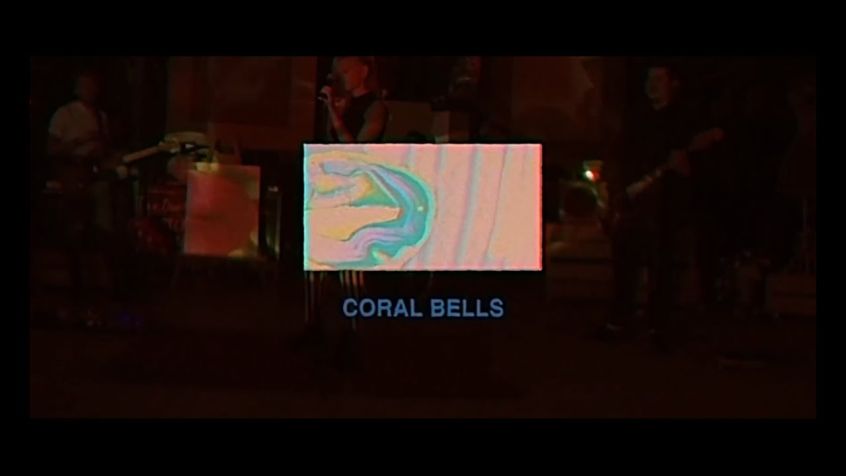 VIDEO: Winter Gardens – Coral Bells