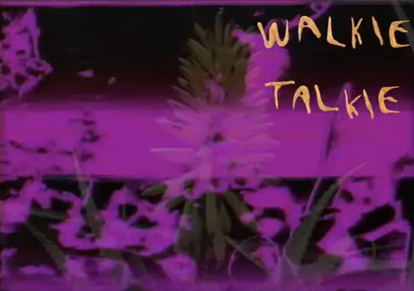 Guarda il video di “Walkie Talkie”, il nuovo singolo dei Wand