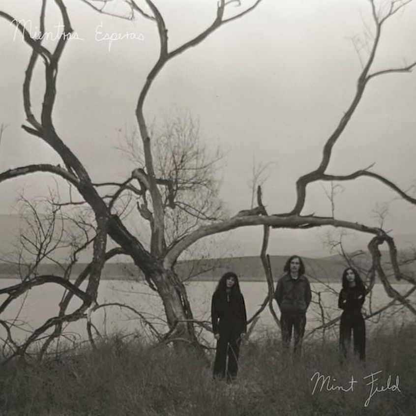 EP: Mint Field – Mientras Esperas