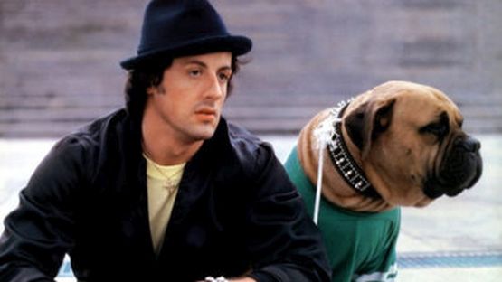Oggi “Rocky 2” di Sylvester Stallone compie 40 anni