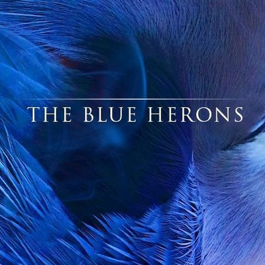 TRACK: The Blue Herons – Another Chance (feat. Thierry Haliniak)