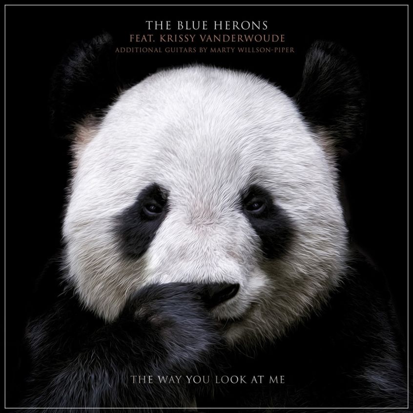 TRACK: The Blue Herons – The Way You Look At Me (feat. Krissy Vanderwoude)