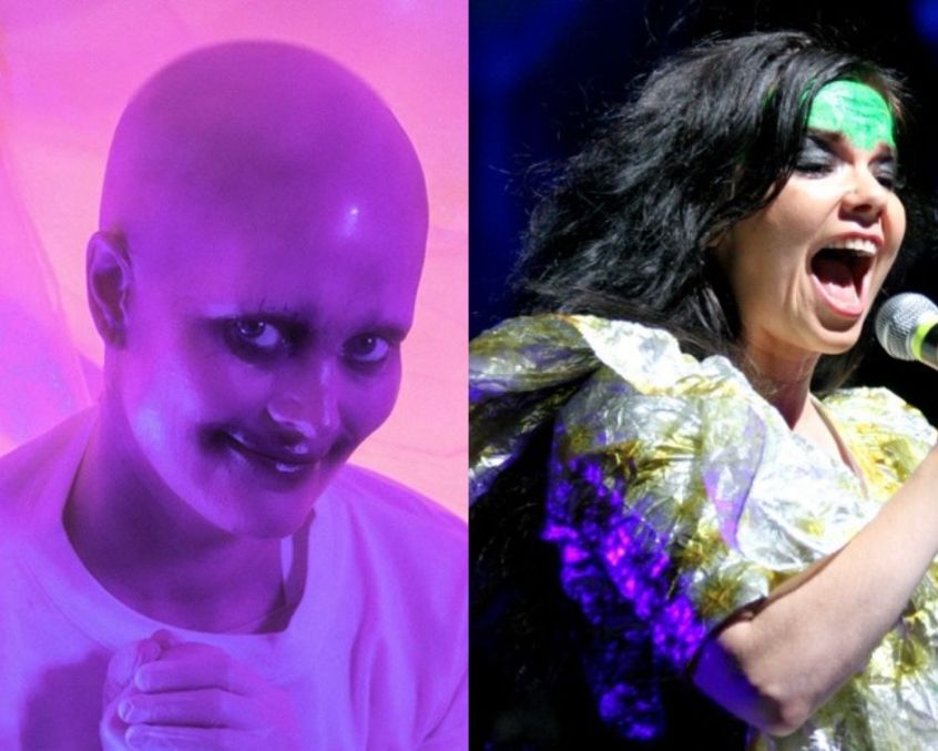 Bjork remixa “This Country” di Fever Ray. Ascolta “This Country Makes It Hard to Fuck”.