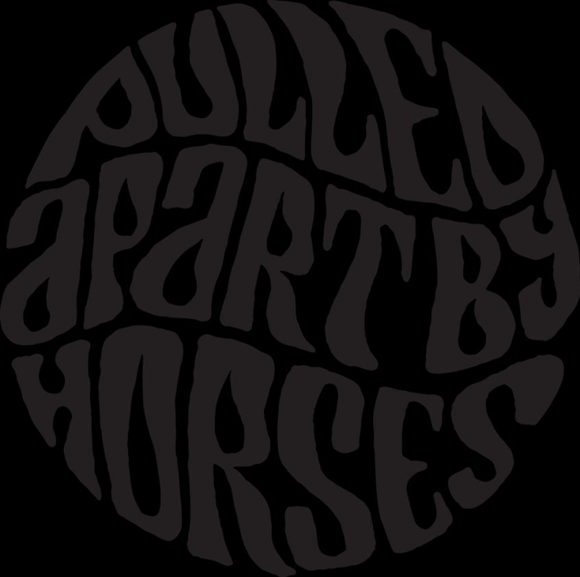 Pulled Apart By Horses: il nuovo singolo si chiama “Is This Thing On?”