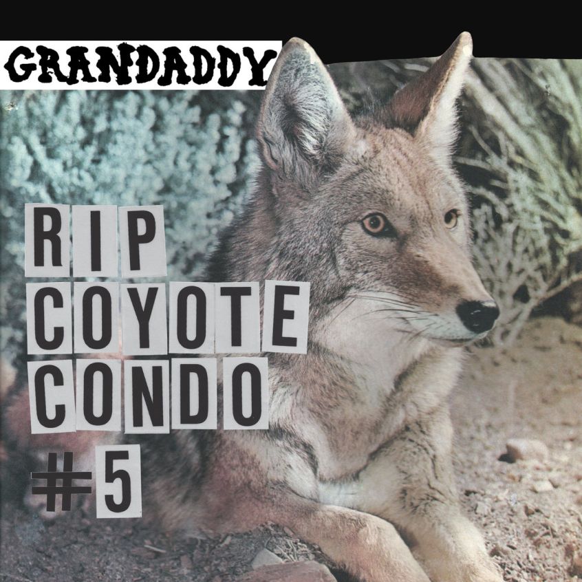 Ascolta “RIP Coyote Condo #5”, un nuovo brano dei Grandaddy