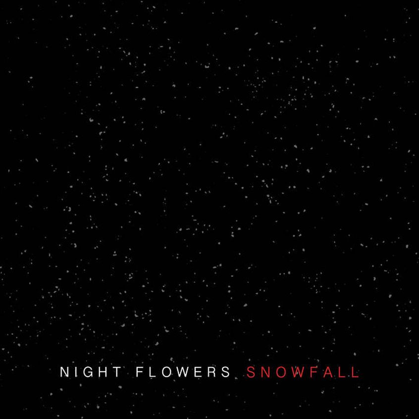 Ascolta “Snowfall”, il brano natalizio dei Night Flowers