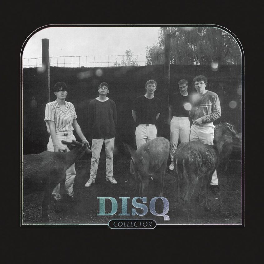 ALBUM: DISQ – Collector