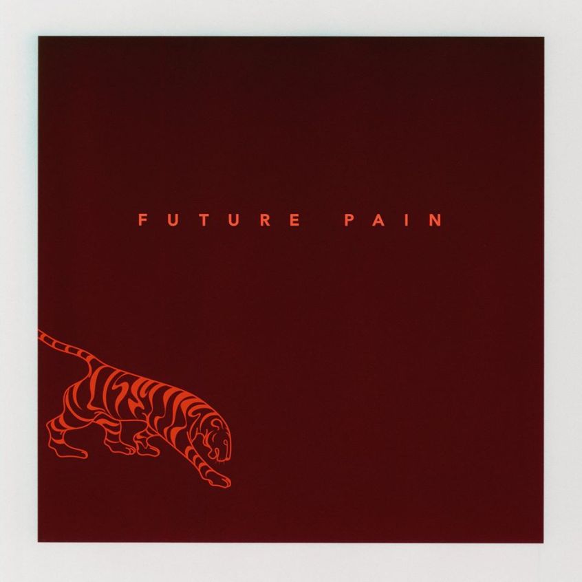 E’ Dave Fridmann il produttore del nuovo album di Vanessa Carlton: ascolta il singolo “Future Pain”