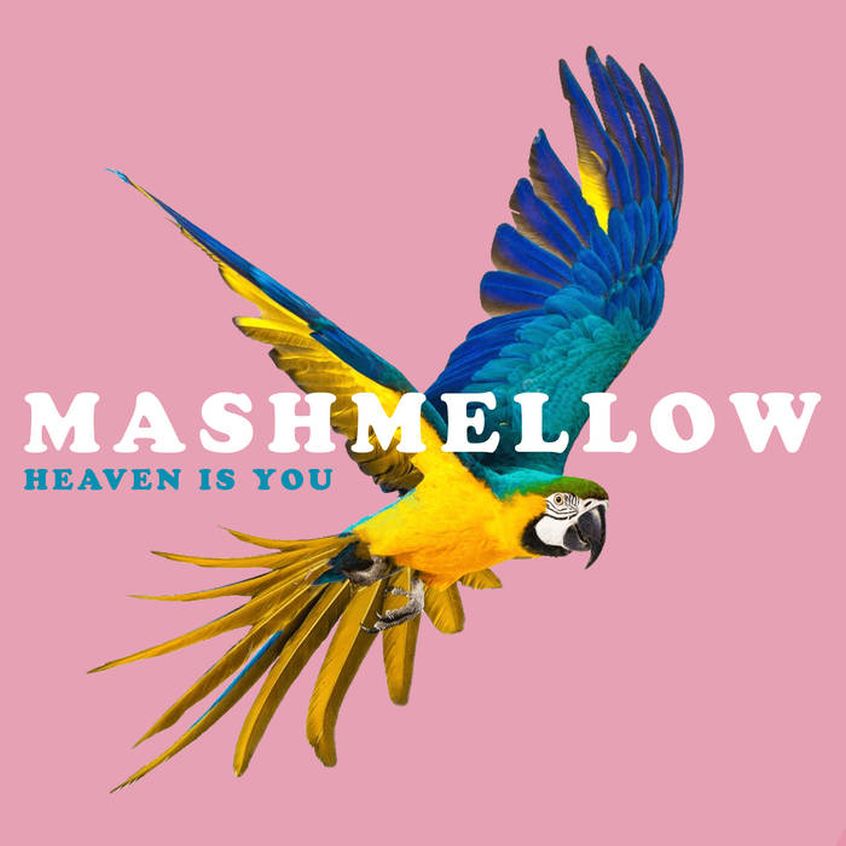 TRACK: Mashmellow – Heaven Is You