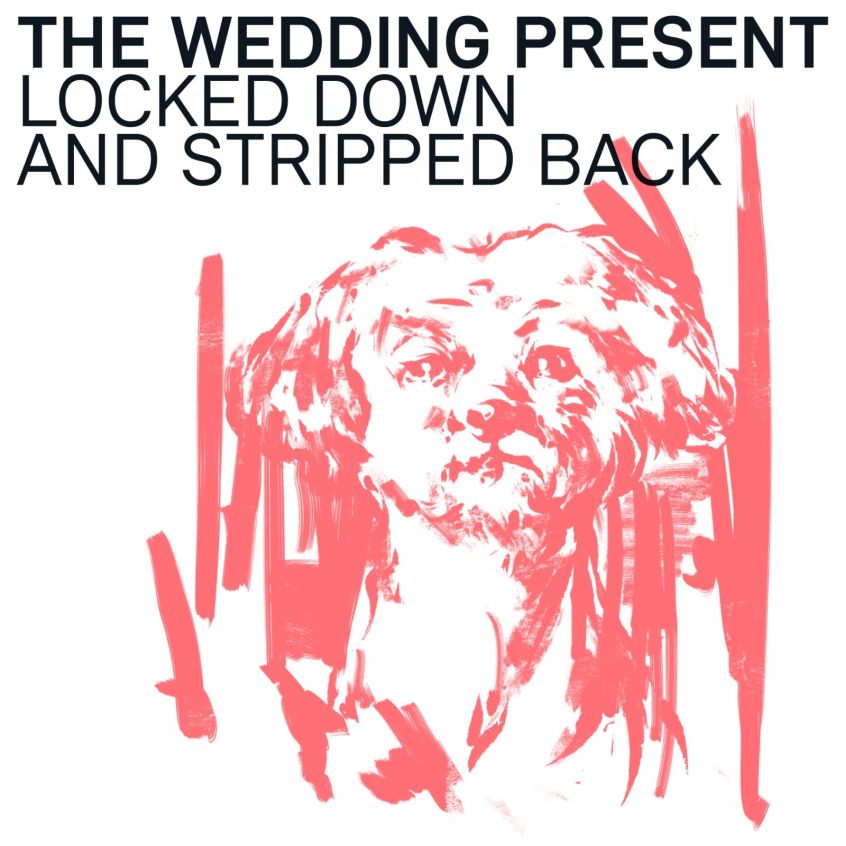 A febbraio dell’anno prossimo arriverà  “Locked Down & Stripped Back”, la nuova uscita a nome The Wedding Present