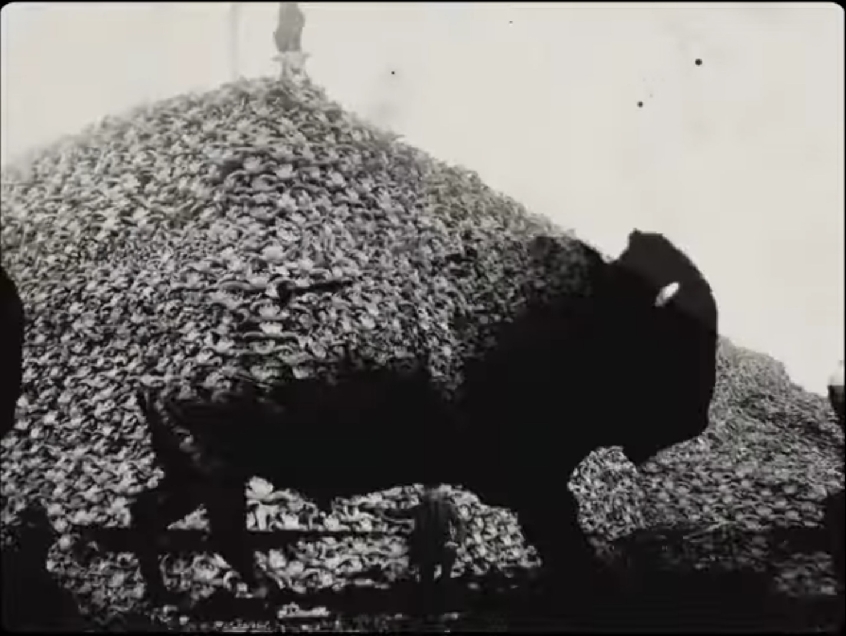 I Rage Against The Machine pubblicano un mini documentario intitolato “Killing in the name”