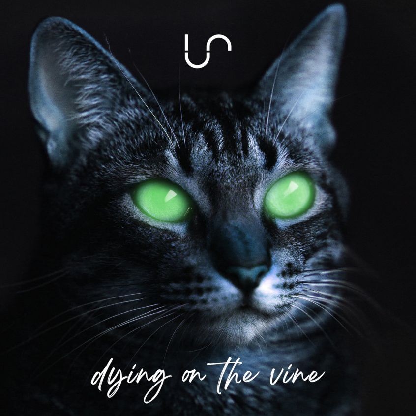 Ascolta “Dying on the Vine”, il nuovo brano degli Unify Separate di Andrew Montgomery e Leo Josefsson