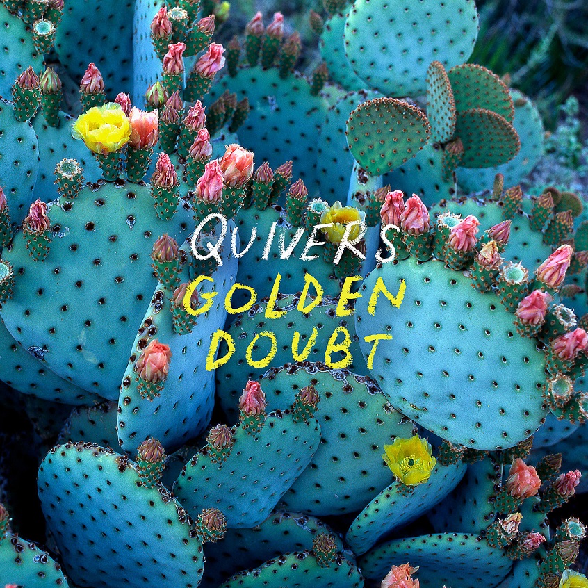 Il secondo album dei Quivers esce a giugno