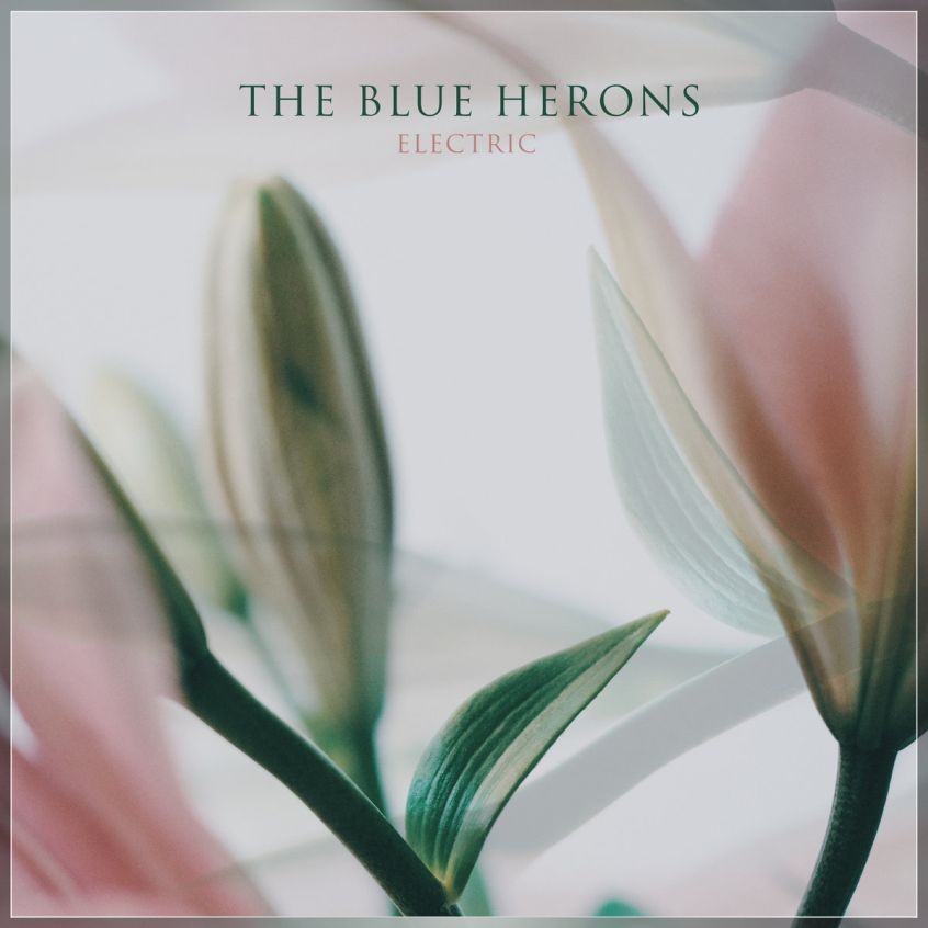 TRACK: The Blue Herons – Electric