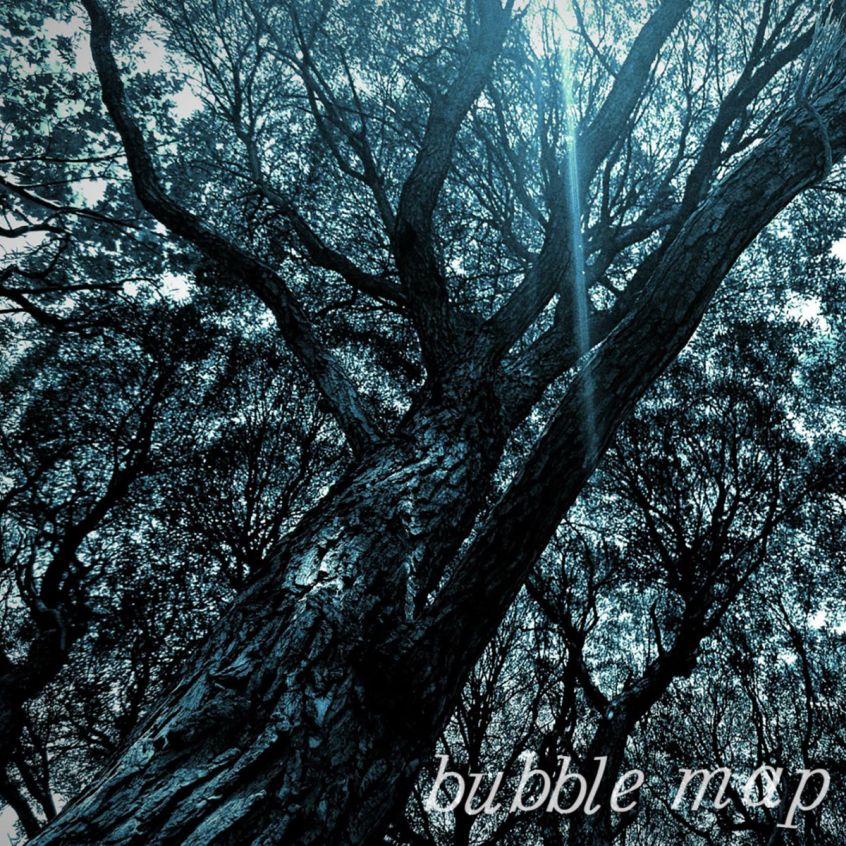 TRACK: Bubble Map – Forest