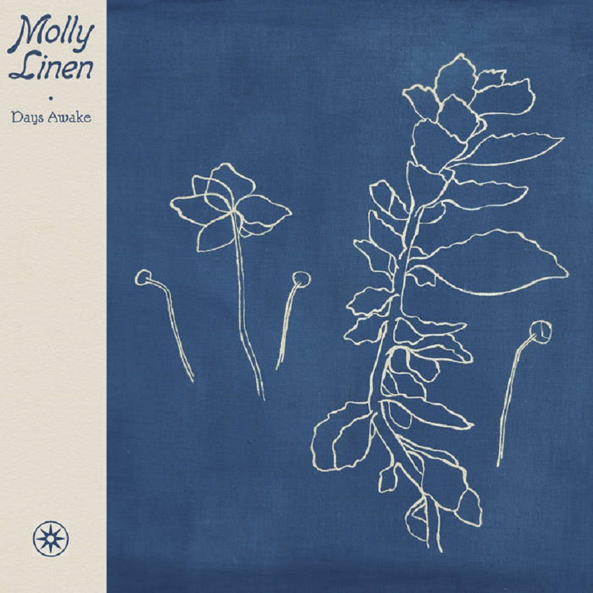 TRACK: Molly Linen – The Day Starts
