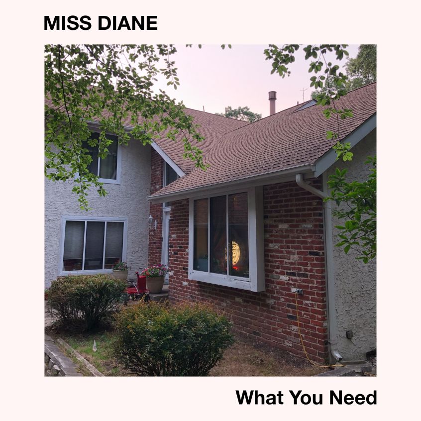 TRACK: Miss Diane – What You Need