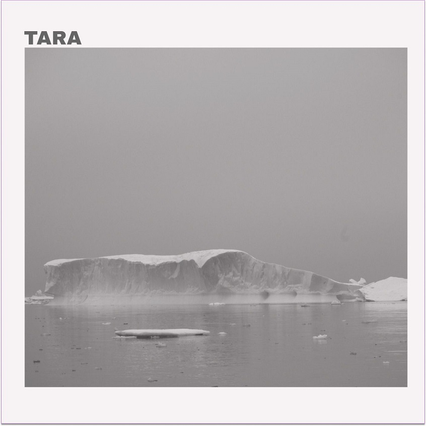 TRACK: Tara – Light Again