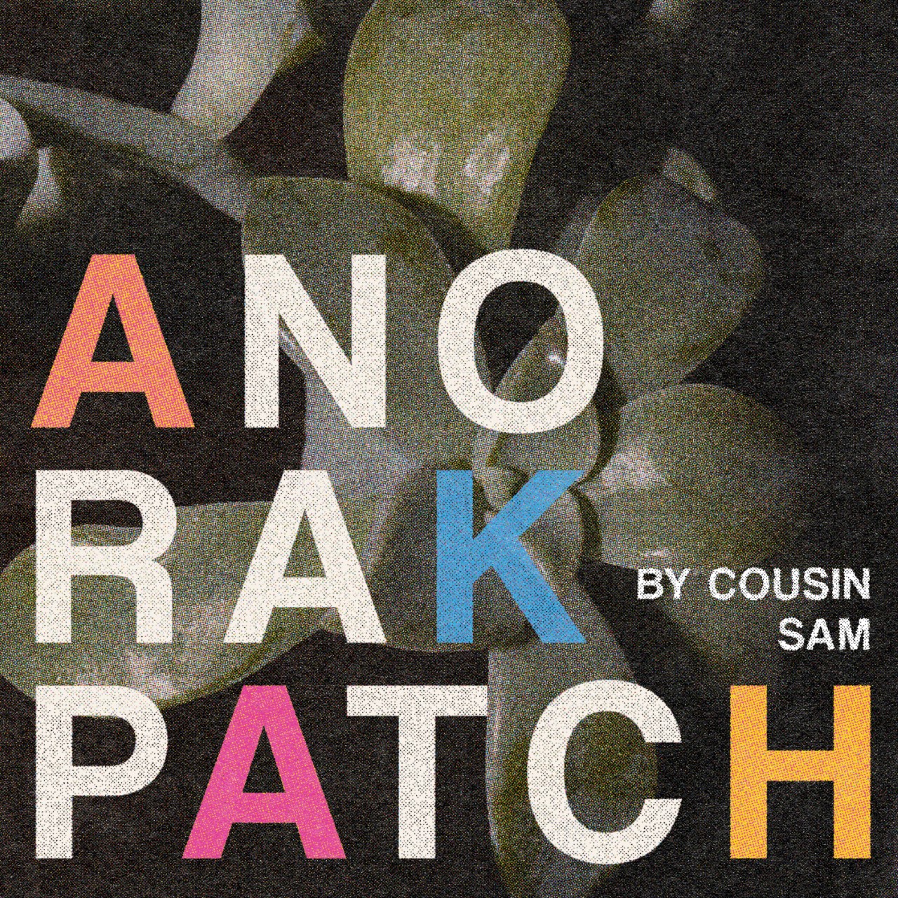 TRACK: Anorak Patch – Cousin Sam