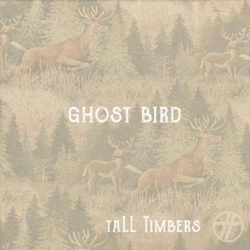 TRACK: Tall Timbers – Ghost Bird