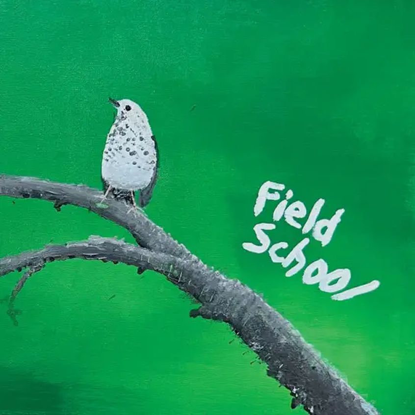 EP: Field School – Swainson’s Thrush
