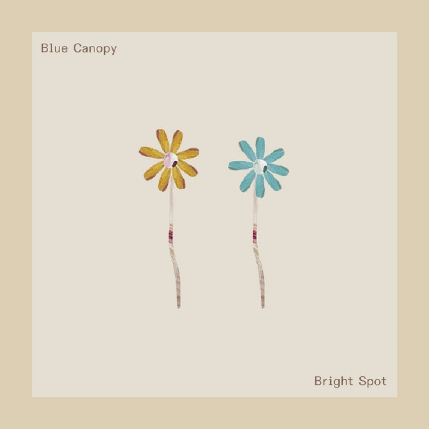 TRACK: Blue Canopy – Bright Spot