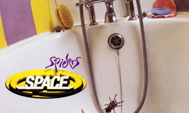 Oggi “Spiders” degli Space compie 30 anni
